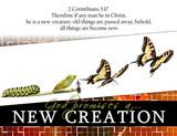 new_creation